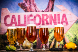 Craft Beer Residency brings new Sierra Nevada, Anchor & Stone beers to UK